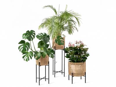 Vincent Sheppard Vivi Plant Stand Medium